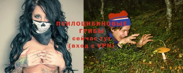 гидра Одинцово
