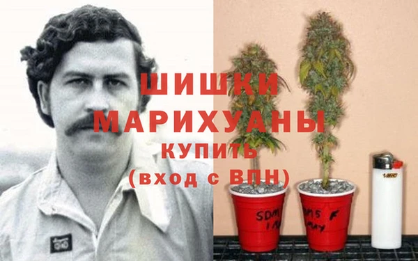 хмурый Балабаново