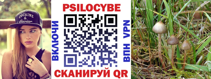 это официальный сайт  Дно  Галлюциногенные грибы Magic Shrooms 